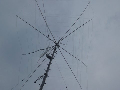 Lacova pavučina na stožiari