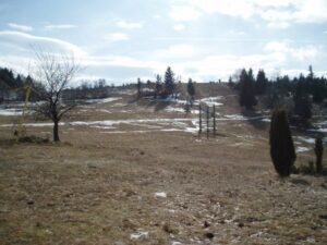 1.subregionĂˇl 2009